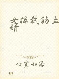 女总裁的上门女婿