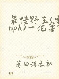 最佳野王(电竞nph)一坨薯饼