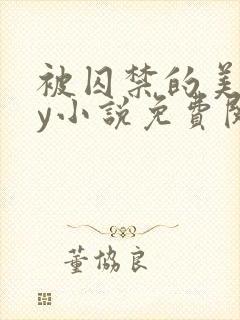 被囚禁的美人by小说免费阅读