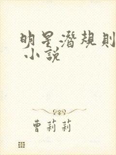 明星潜规则之皇 小说