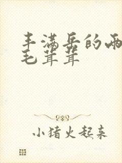 丰满岳的两腿间毛茸茸