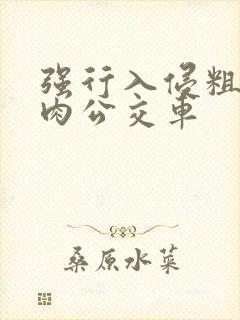 强行入侵粗暴h肉公交车