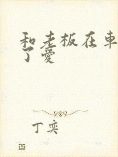 和老板在车里做了爱