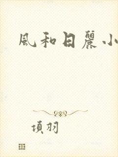 风和日丽小说