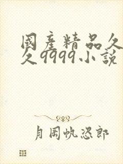 国产精品久久久久9999小说