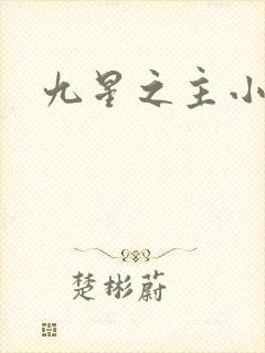 九星之主小说