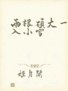 两根硕大一起挤入小雪