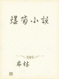 爆菊小说
