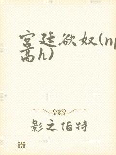 宫廷欲奴(np高h)