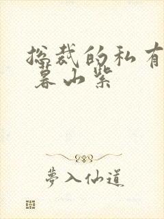 总裁的私有宝贝 暮山紫