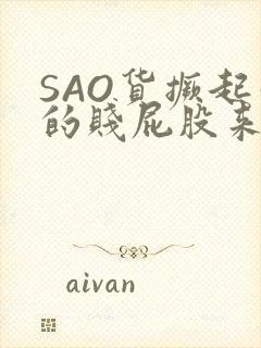 SAO货撅起你的贱屁股来