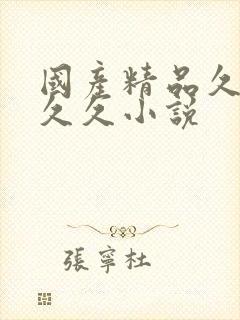 国产精品久久久久久小说