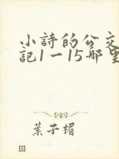 小诗的公交车日记1一15哪里能看