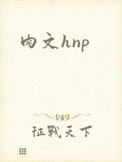 肉文hnp
