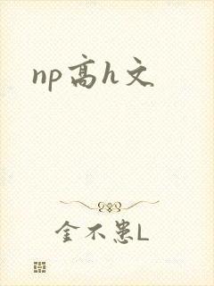 np高h文