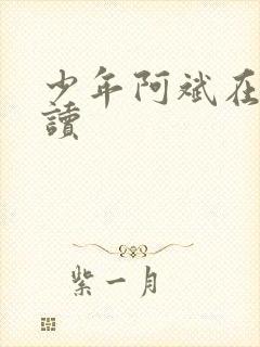 少年阿斌在线阅读