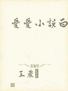 爱爱小说白洁
