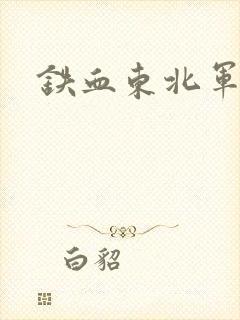 铁血东北军