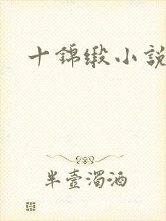 十锦缎小说