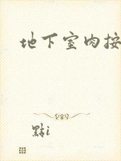 地下室肉按摩椅