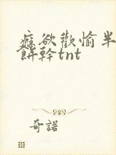 瘾欲欢愉半块小饼干tnt