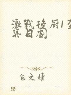 激战后厨1至5集日剧