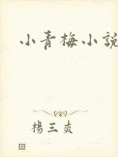 小青梅小说
