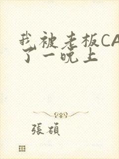 我被老板CAO了一晚上