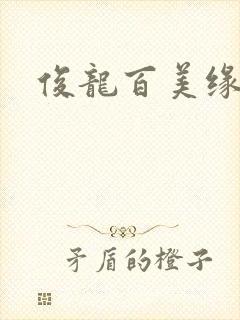 俊龙百美缘小说