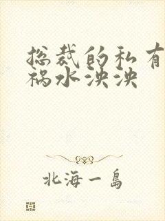 总裁的私有宝贝祸水泱泱