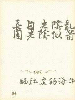 长日光阴乱作一团光阴似箭笔渺