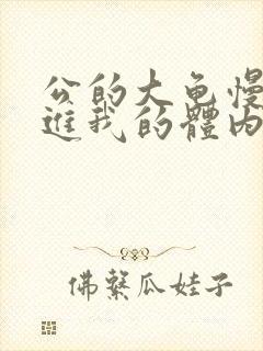 公的大龟慢慢挺进我的体内视频