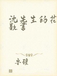 沈先生的花式调数书