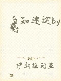自知迷途by二飞