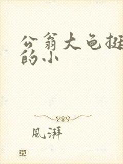 公翁大龟挺进我的小