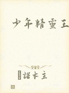 少年精灵王