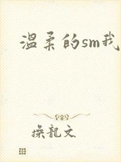 温柔的sm我