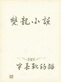 双龙小说