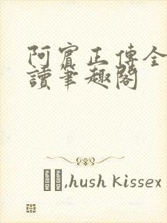 阿宾正传全文阅读笔趣阁