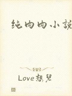 纯肉肉小说