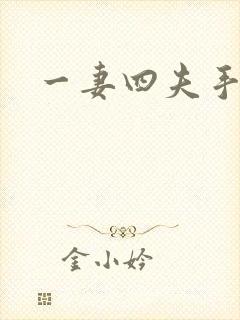 一妻四夫手记