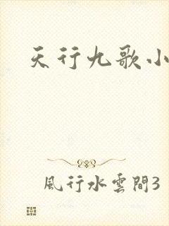 天行九歌小说