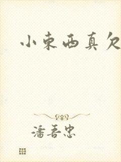 小东西真欠弄