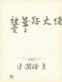 被各路大佬强制爱了