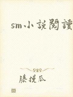 sm小说阅读