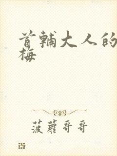 首辅大人的小青梅