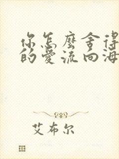 你怎么舍得让我的爱流向海