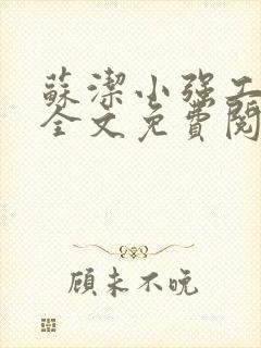 苏洁小强工地情全文免费阅读