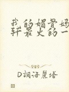 我的媚骨妈妈林轩最火的一句