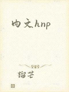 肉文hnp